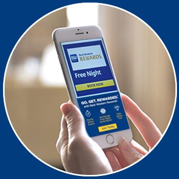 Best Western Executive Inn